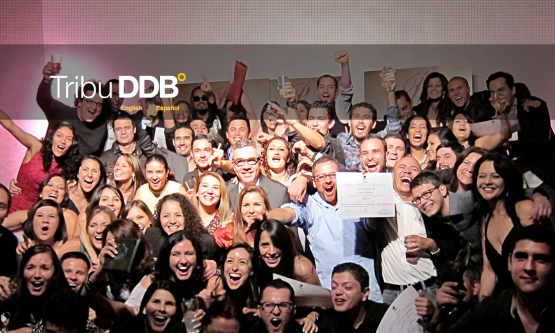 Tribu DDB portada website