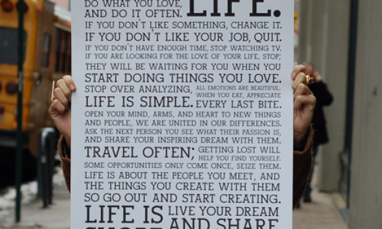 vida life