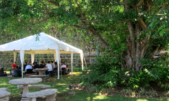 carpa tribu