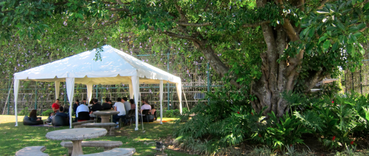 carpa tribu