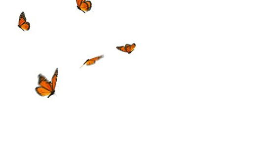 Screen Shot 2012-06-17 at 5.15.55 AM