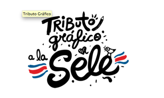 Tributo grafico a la sele