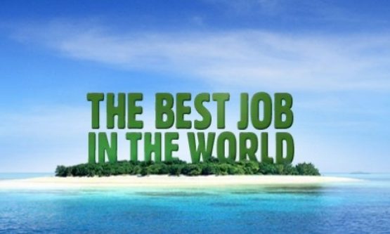 best-job-in-the-world