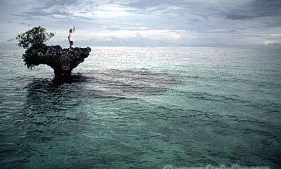 stranded-2-big.jpg