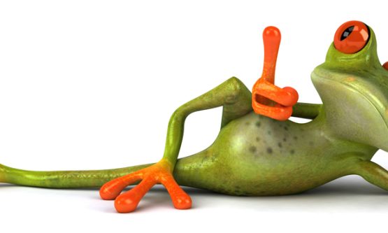 rana acostada