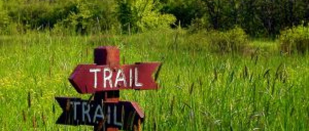 which_way2